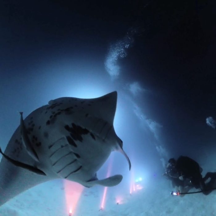 Potápačský kurz NIGHT DIVER