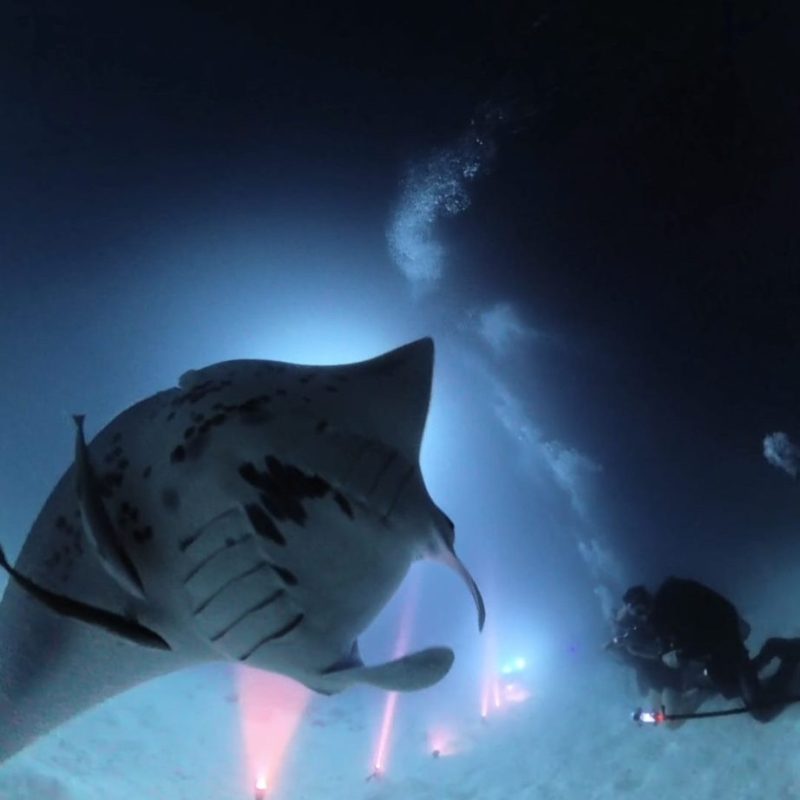 Potápačský kurz NIGHT DIVER